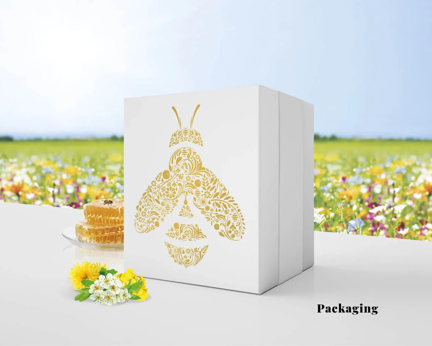 Création de packagings par Rdesign à Cholet